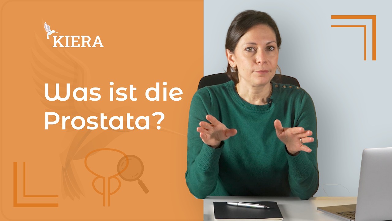 Was ist die Prostata und wozu dient sie?