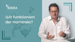 Wie funktioniert der Harntrakt?